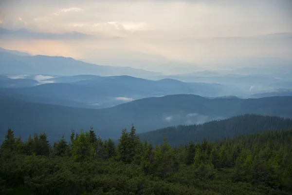 Mountains with pine trees — Stock Photo, Image