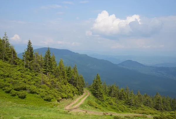 Droga przez las, Karpaty — Zdjęcie stockowe