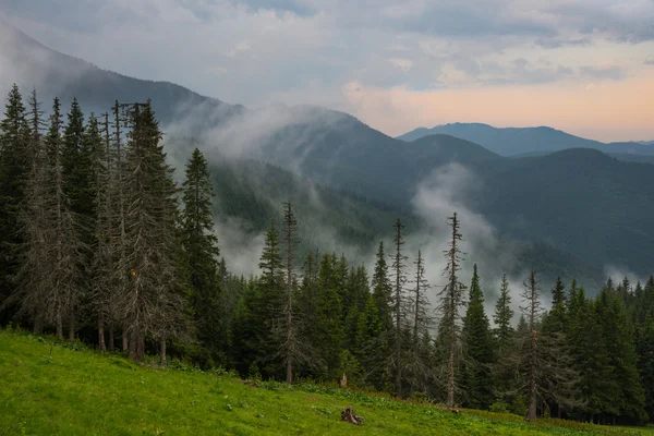 Krajina v Karpatské — Stock fotografie