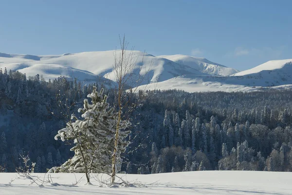 Paisaje Invernal Las Montañas —  Fotos de Stock