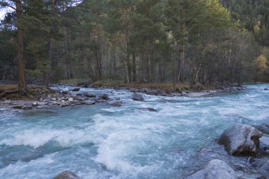 Dağlar, Baksan nehri, Kafkaslar. Güzel sonbahar manzarası