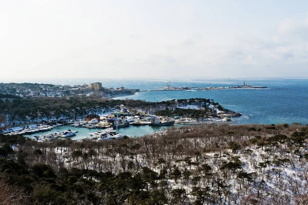 ひどい冬の風景です 黒海の眺め — ストック写真