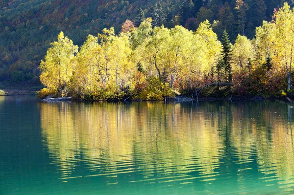 Jezioro Kardyvach Górach Rezerwat Kaukaski Rosja — Zdjęcie stockowe