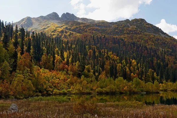 Otoño Las Montañas Cáucaso Rusia —  Fotos de Stock