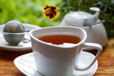 Bir fincan yeşil çay. Sabah çayı.. 