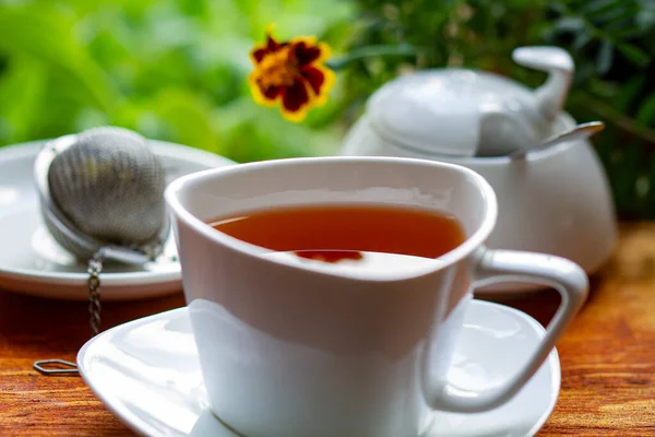 Una Taza Verde Mañana — Foto de Stock