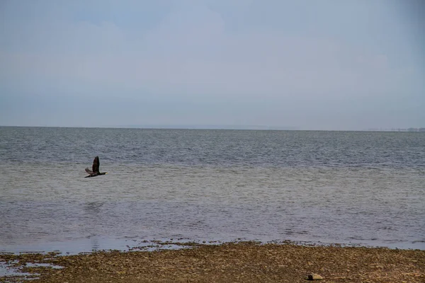 Anapa Beach Russland Blick Auf Das Schwarze Meer — Stockfoto