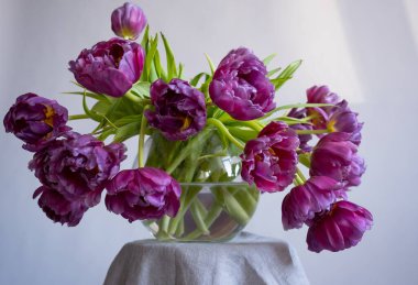 Cam bir vazoda güzel laleler