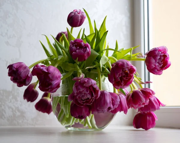 Krásné Tulipány Skleněné Váze — Stock fotografie