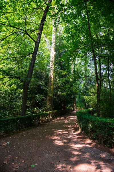 Hermoso Parque Ciudad Olot Garrotxa Provincia España —  Fotos de Stock