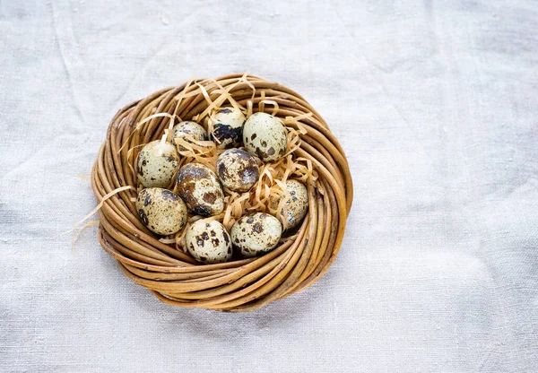 Frohe Ostern Wachteleier Nest Selektiver Fokus — Stockfoto