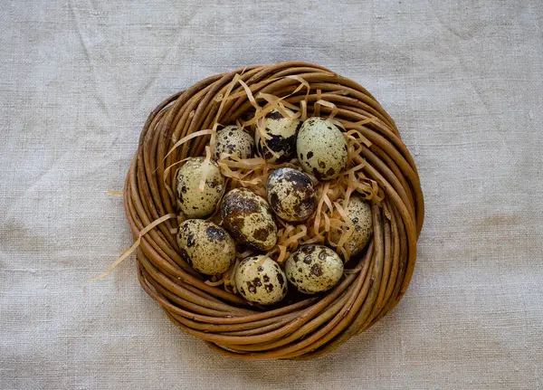 Feliz Pascua Huevos Codorniz Nido Enfoque Selectivo —  Fotos de Stock