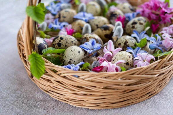 Feliz Pascua Cesta Mimbre Con Huevos Pascua Flores Brillantes Primavera —  Fotos de Stock