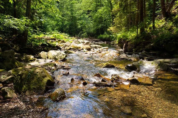 Paisagem Com Pequeno Rio Montanha Oeste Ucrânia Europa — Fotografia de Stock