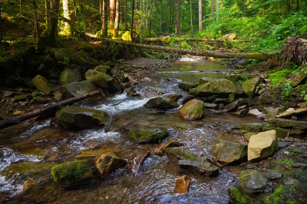 Paisagem Com Pequeno Rio Montanha Oeste Ucrânia Europa — Fotografia de Stock