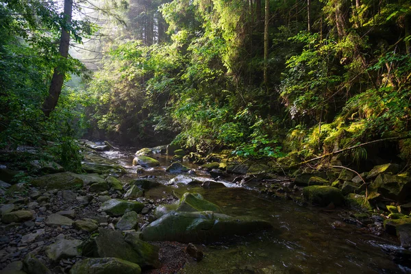 Paesaggio Con Piccolo Fiume Montagna Ucraina Occidentale Europa — Foto Stock