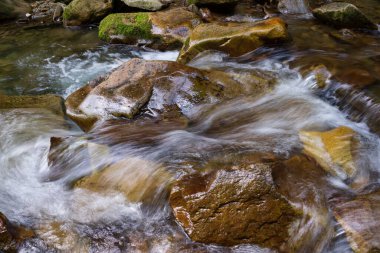 Batı Ukrayna, Avrupa 'da küçük dağ nehri manzarası