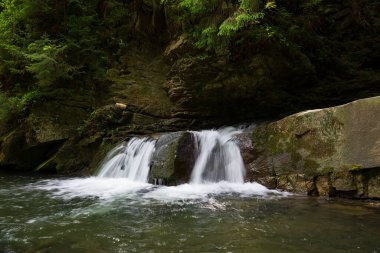 Batı Ukrayna, Avrupa 'da küçük dağ nehri manzarası