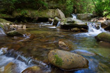 Batı Ukrayna, Avrupa 'da küçük dağ nehri manzarası