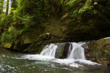 Batı Ukrayna, Avrupa 'da küçük dağ nehri manzarası