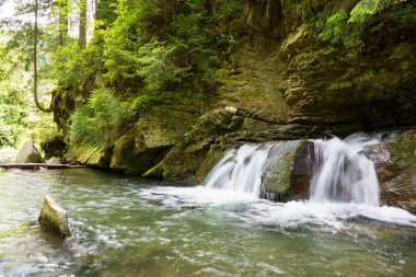 Batı Ukrayna, Avrupa 'da küçük dağ nehri manzarası