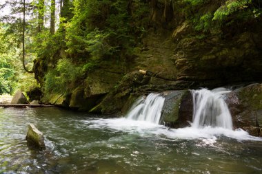 Batı Ukrayna, Avrupa 'da küçük dağ nehri manzarası