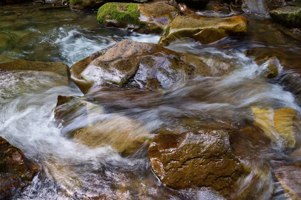 Landskap Med Liten Bergsflod Västra Ukraina Europa — Stockfoto