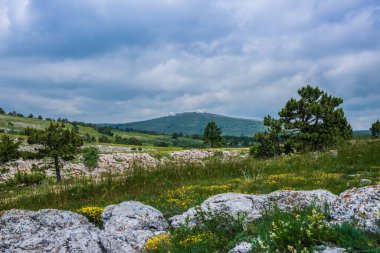 Kırım 'da güzel bir yaz manzarası