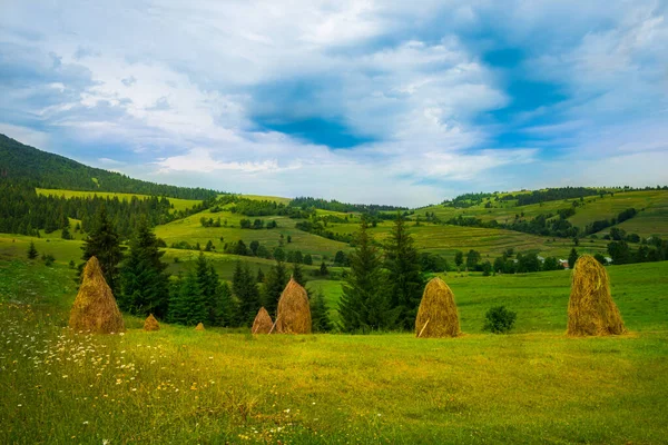 Haystacks Colina Pastizales Primer Plano Cárpatos Idílicos Paisaje Verano Con —  Fotos de Stock