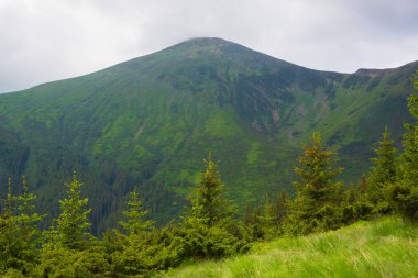 Karpat dağlarında yaz zamanı