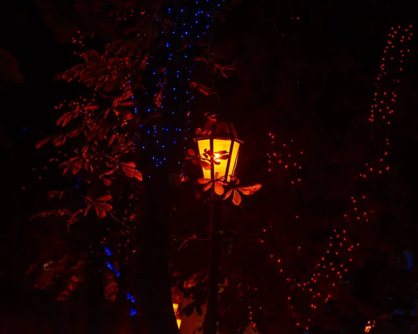 Lantern Night City Illuminated Chestnut Leaves — Stock Photo, Image