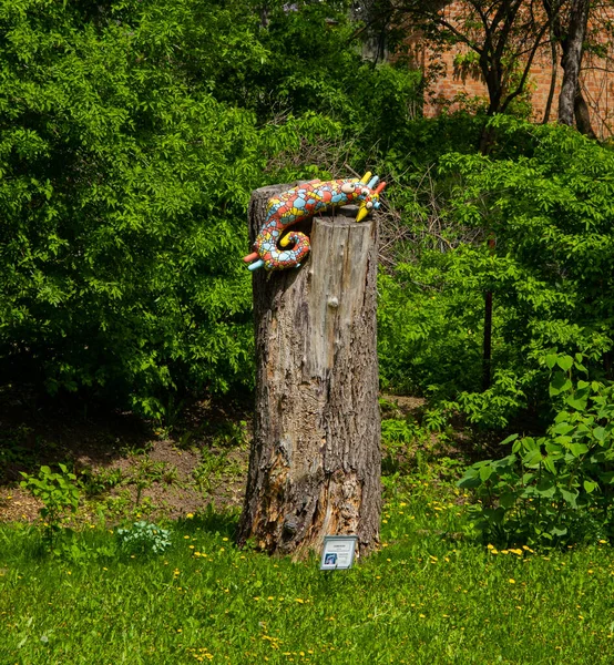 Opishnya Région Poltava Ukraine Mai 2021 Caméléon Multicolore Céramique Opishnya — Photo