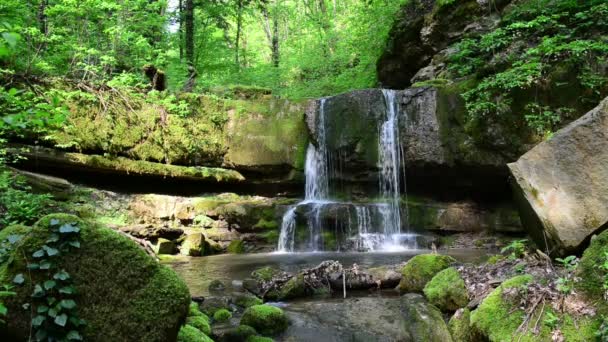 Ett Pittoreskt Vattenfall Den Soliga Sommarskogen Kaukasus — Stockvideo