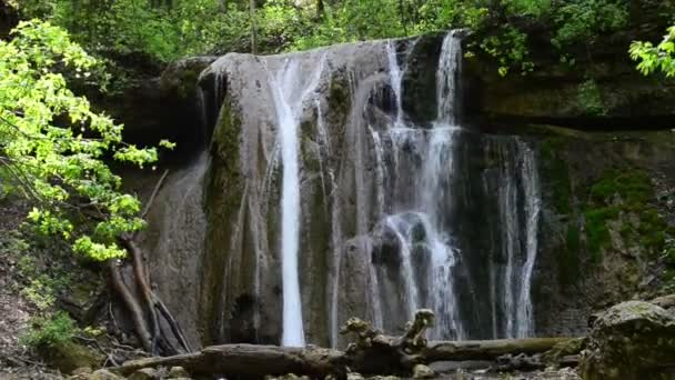 コーカサスの日当たりの良い夏の森の中に小さな湖がある絵のような滝 — ストック動画