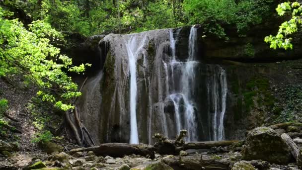 Une Cascade Pittoresque Avec Petit Lac Dans Forêt Ensoleillée Été — Video