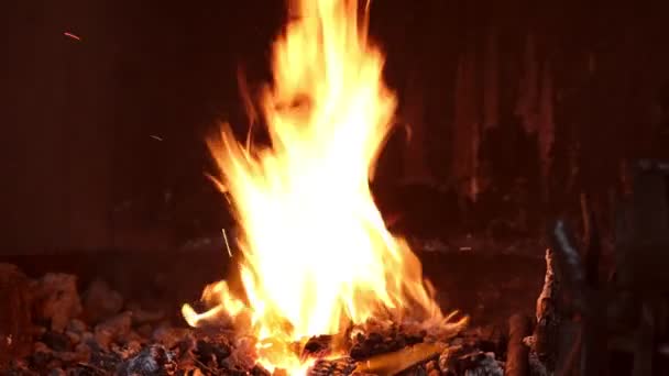 Madera Ardiendo Una Chimenea Calidez Confort Hogar — Vídeo de stock