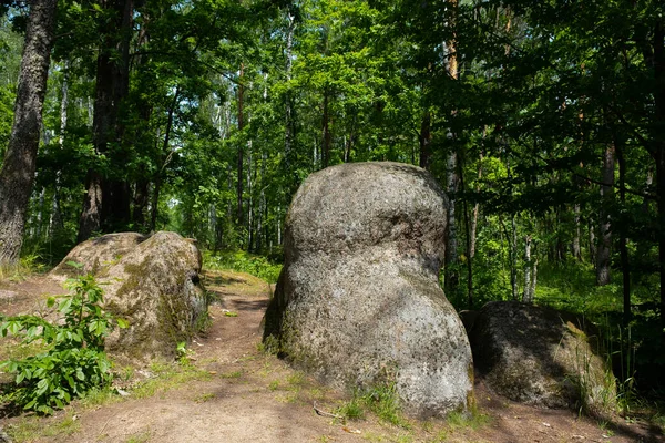 Grote Stenen Rotsblokken Een Prachtige Zomer Bos Stenen Dorp Oekraïne — Stockfoto