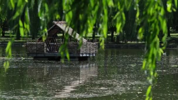 Красивый Деревянный Лебединый Дом Плавает Среди Городского Пруда — стоковое видео