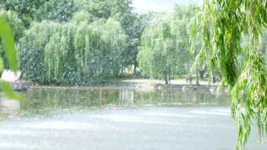 Söğüt dalları güneş ışığı altında bir gölün üzerinde, fıskiyenin arka planında