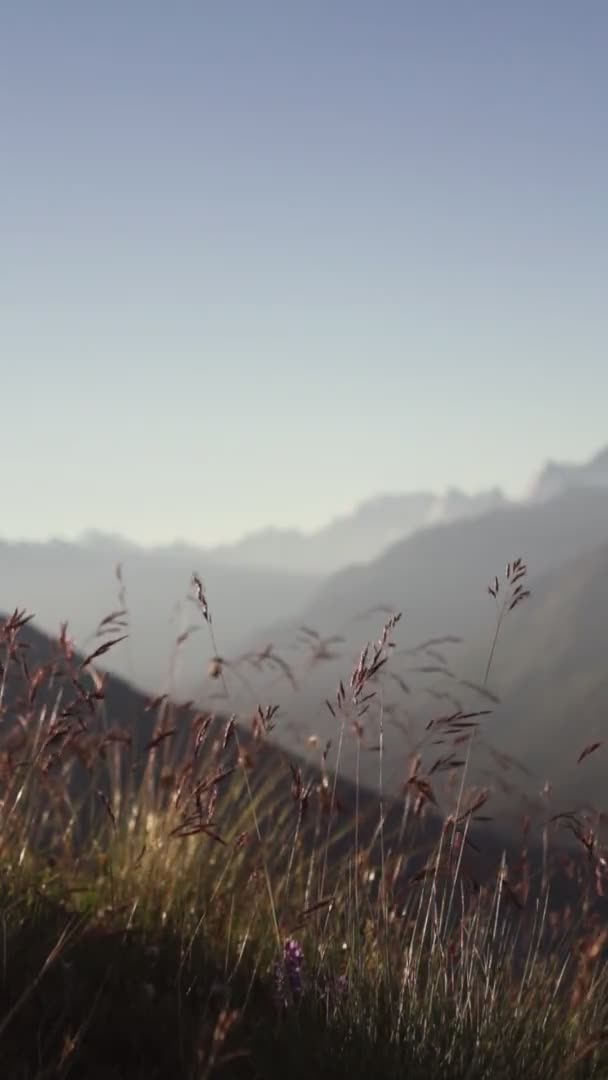 Rano Górach Stok Górski Trawą Wschodzie Słońca — Wideo stockowe
