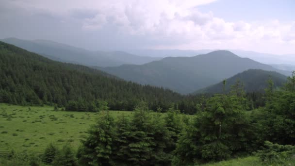 喀尔巴阡山脉美丽的森林 — 图库视频影像