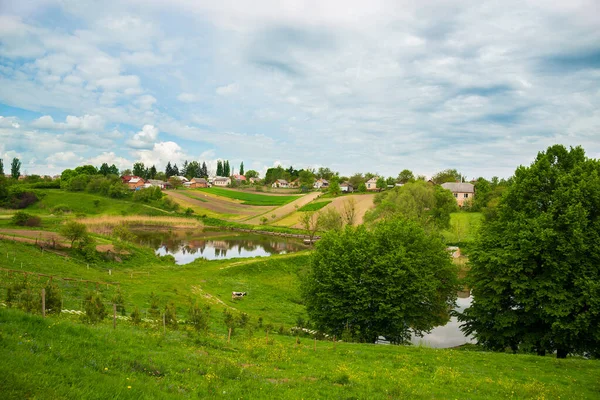 Village Ukrainian Polesie — Stock Photo, Image