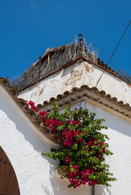 Calafell, İspanya 'da begonvil çiçekli eski bir ev.