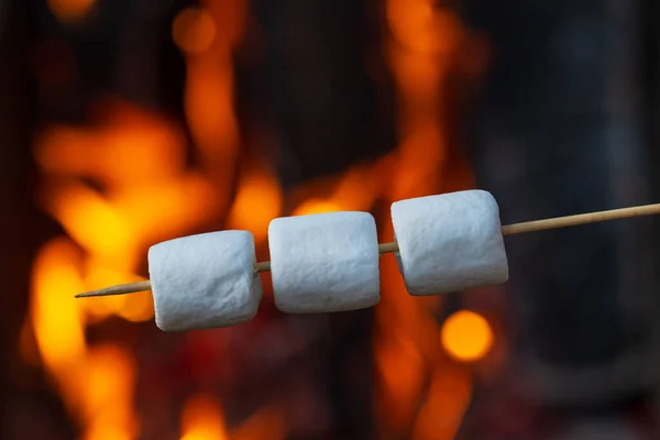 모닥불 근처에 막대기에 마시멜로를 준비가 — 스톡 사진