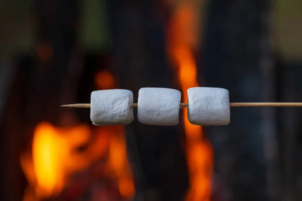 모닥불 근처에 막대기에 마시멜로를 준비가 — 스톡 사진