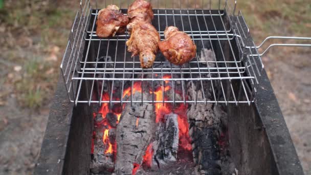 マリネ鶏の足は炎のグリルで揚げた チャコールと煙 屋外グリルチキン足を準備します グリルフード — ストック動画