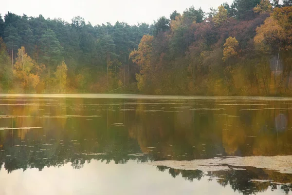 Sezon Jesień Las Jezioro — Zdjęcie stockowe