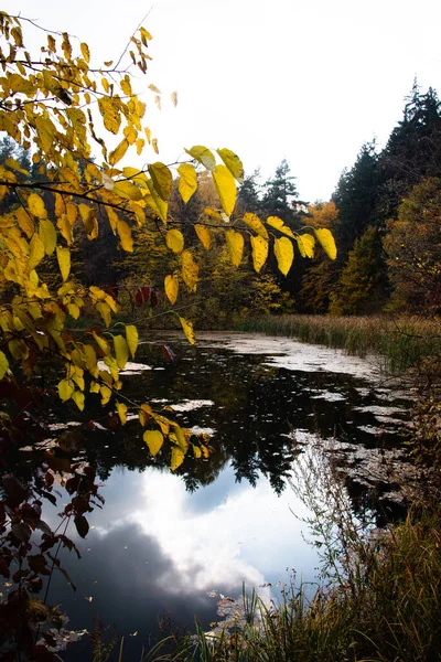 Herbstsaison Waldsee — Stockfoto