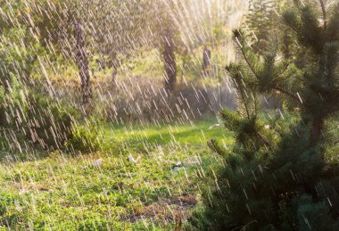 çim sulama
