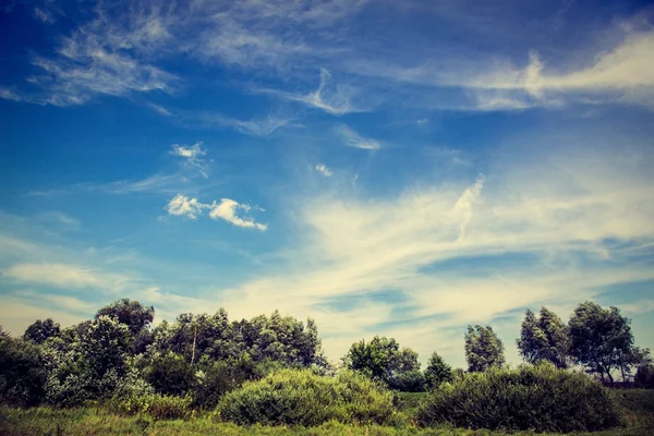 Gebied van groen gras, bomen en blauwe hemel — Stockfoto